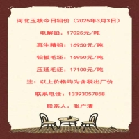 河北玉核今日铅价（2025年3月3日）