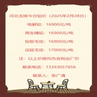 河北玉核今日铅价（2025年2月28日）